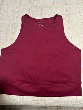 Banana Republic Burgundy High-Neck Crop Tank